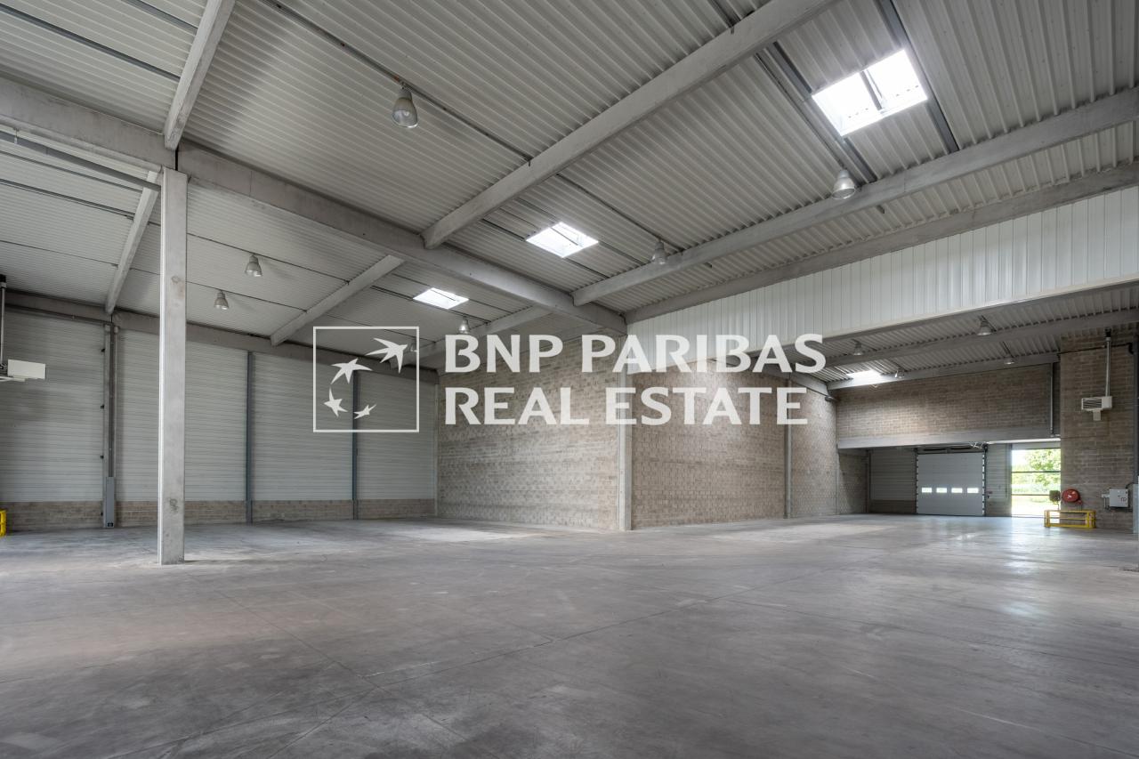 Local d'activité Élancourt 534m² Location local d'activité Élancourt Yvelines OLACT2318123 3
